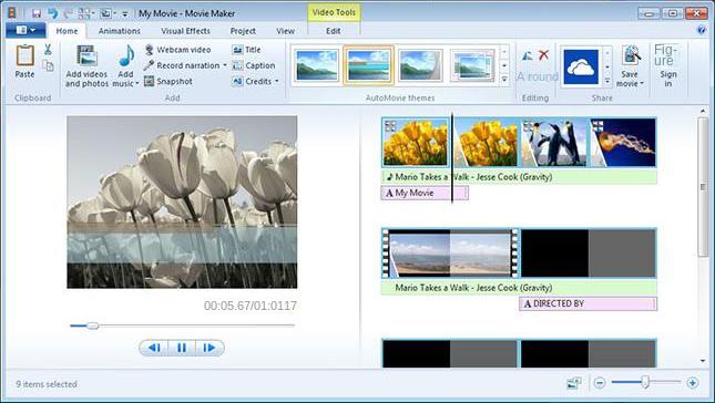 Interfaccia operativa del software Windows Movie Maker