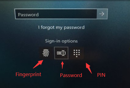 opzione di login di windows opzione di password