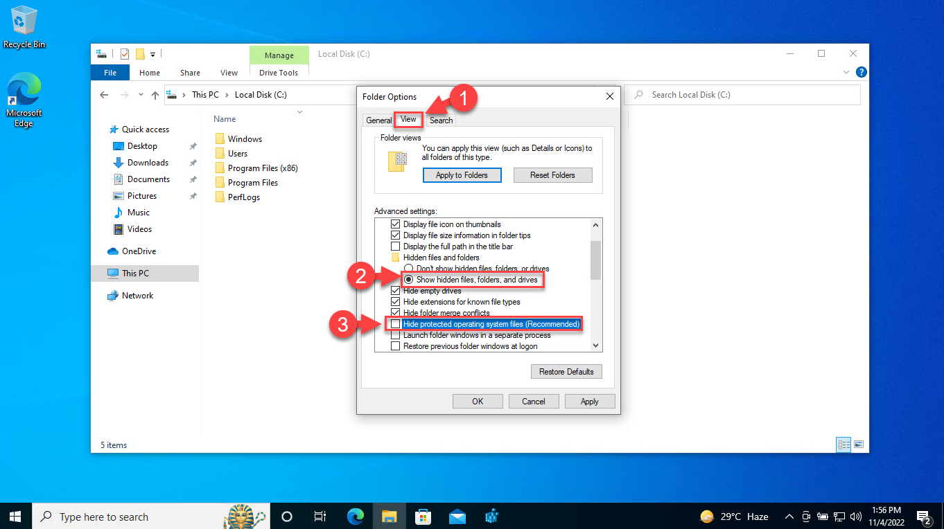 Mostrare i file e le cartelle nascoste e protette in Windows 11/10