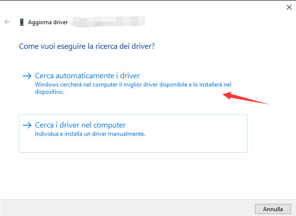 aggiornamento del driver Conferma