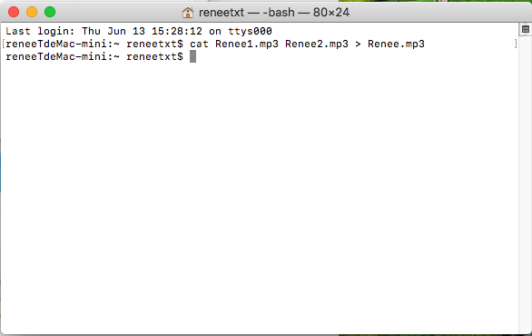 eseguire il comando cat su mac per unire i file mp3