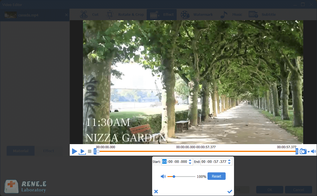 regolare il volume in renee video editor pro