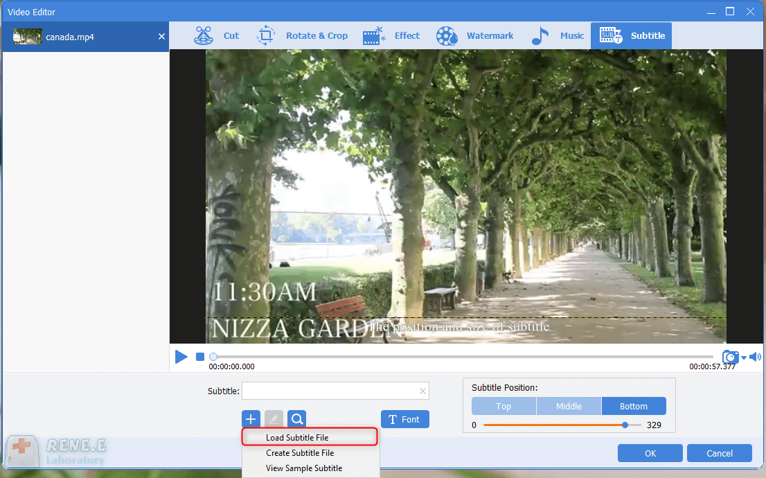 caricare il file dei sottotitoli in renee video editor pro