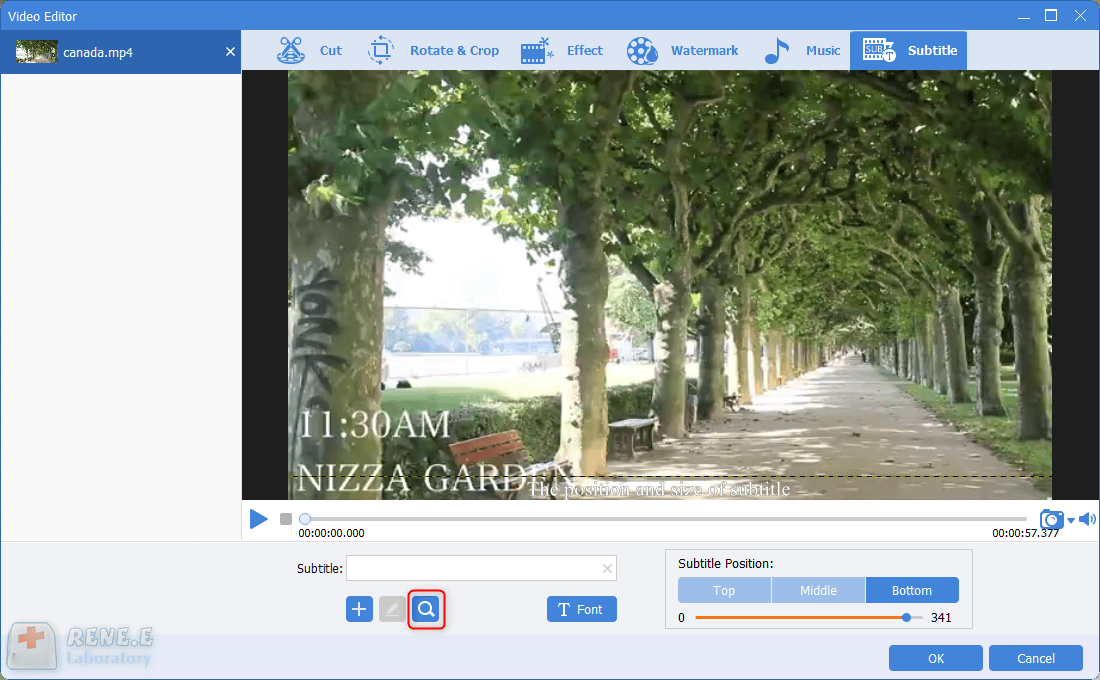 ricerca di sottotitoli online con renee video editor pro