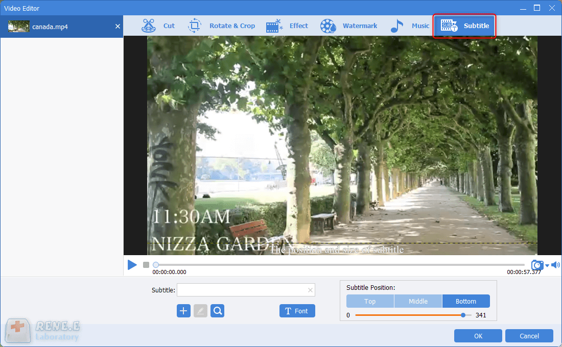 clic per aggiungere sottotitoli ai video in renee video editor pro