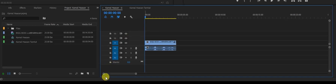 come rimuovere la filigrana con adobe premiere