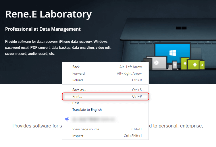 salvare una pagina web come pdf su windows