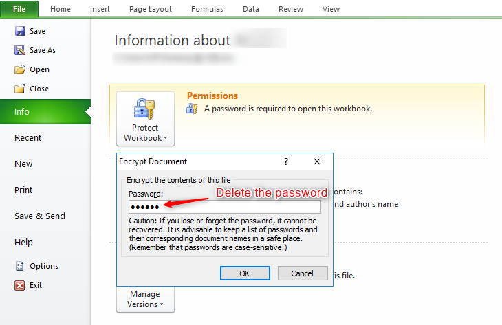 come rimuovere la password da excel