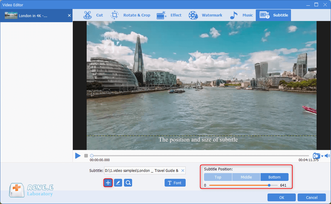 Regolate lo stile dei caratteri e la posizione dei sottotitoli per i video mkv in renee video editor pro