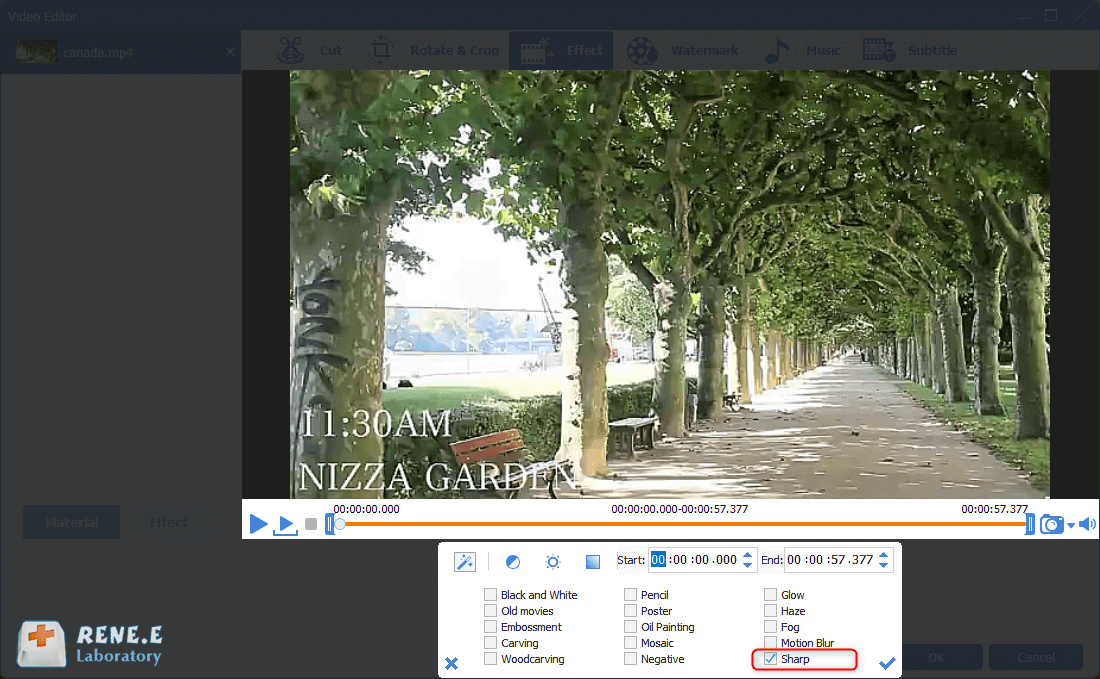 aggiungere il filtro sharp in renee video editor pro