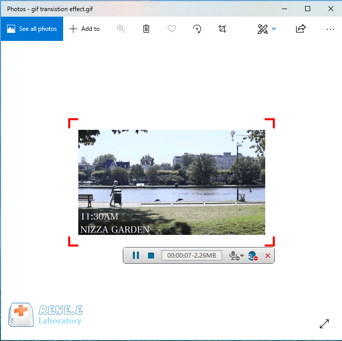 convertire gif in mp4 con renee video editor pro