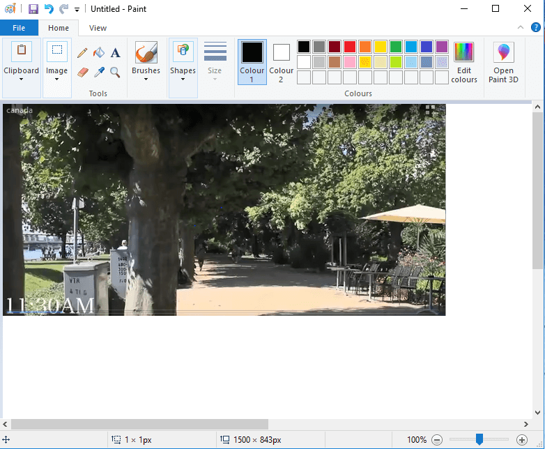 copiare e incollare l'immagine in windows paint