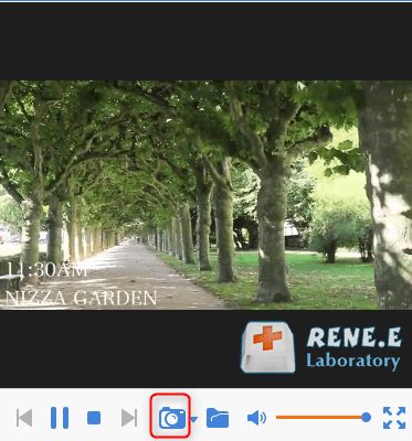 fare screenshot con renee video editor pro